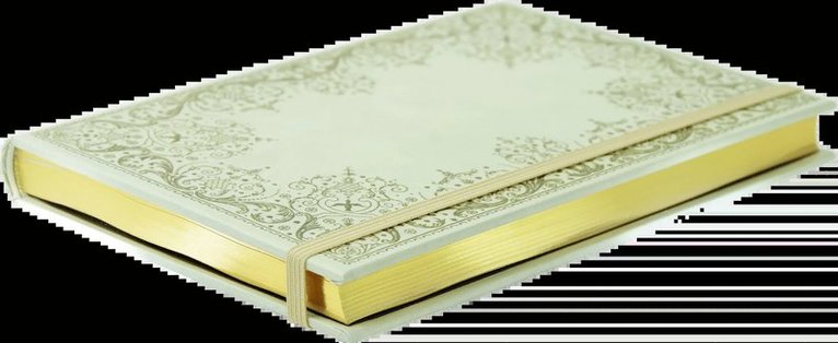 Anteckningsbok A6 linjerad Gilded Ivory, Övrigt