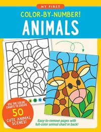 bokomslag Color-By-Number! Animals