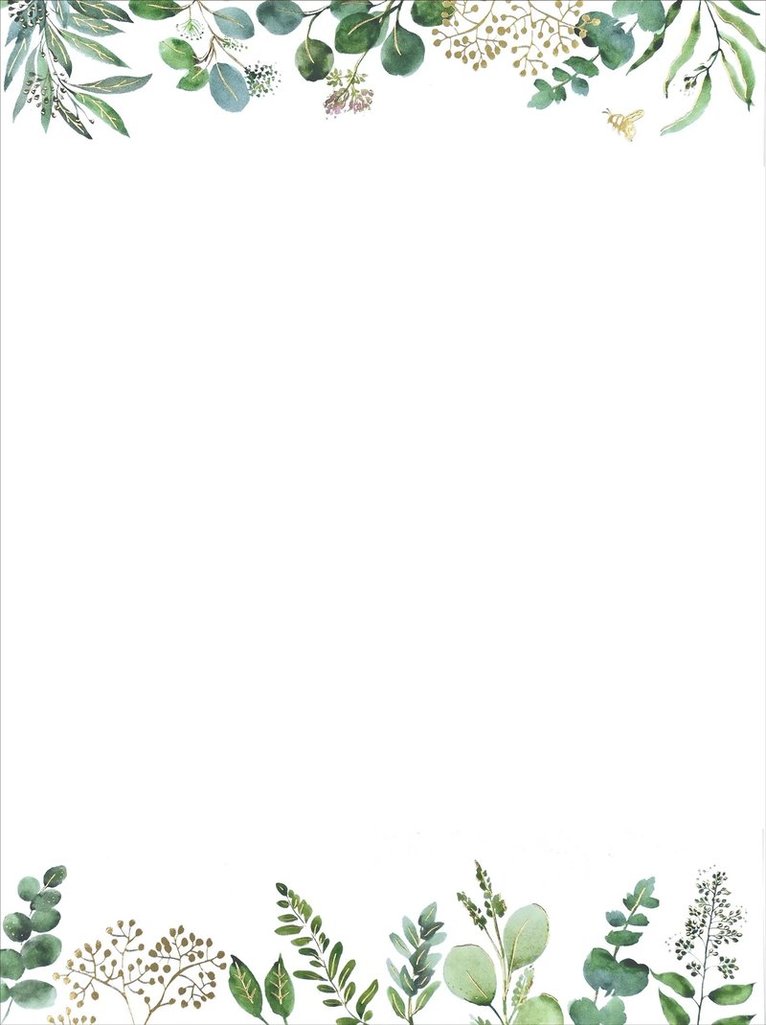 Brevpapper Eucalyptus, Övrigt