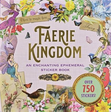 bokomslag Faerie Kingdom Sticker Book (Over 750 Stickers)