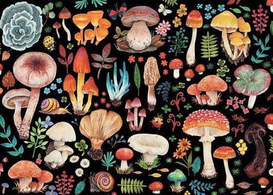 Mushrooms 1000-Piece Jigsaw Puzzle 1