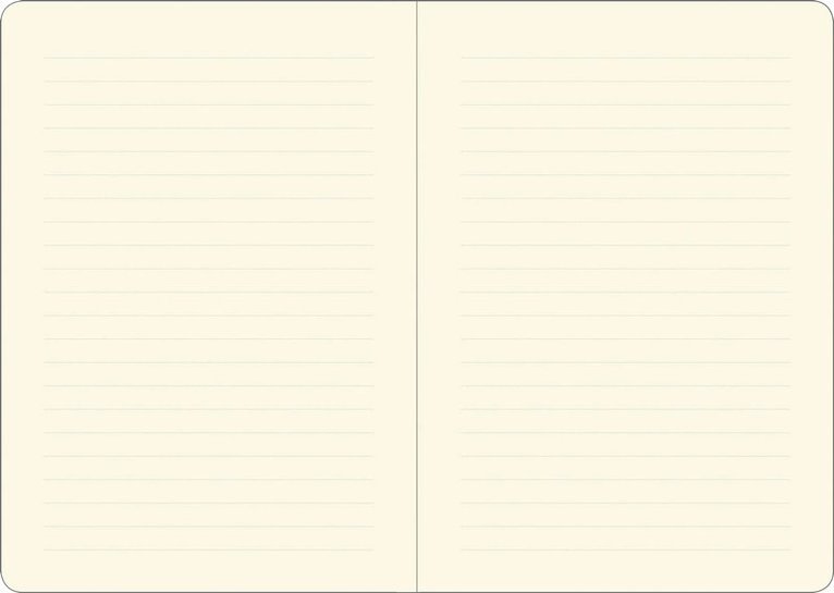 Anteckningsbok A6 linjerad Amalfi Lemons, Övrigt