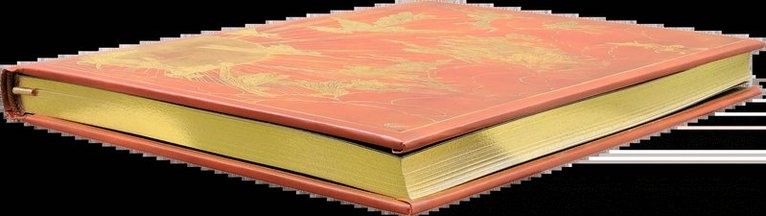 Anteckningsbok A5 linjerad Orange Fairy, Övrigt