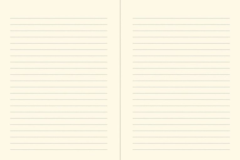 Anteckningsbok A5 linjerad Orange Fairy, Övrigt