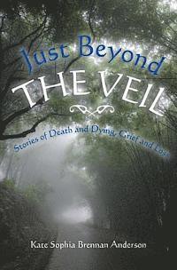 Kate Sophia Brennan Anderson - Just Beyond the Veil, Häftad
