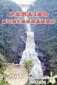 bokomslag Paraíso Subterráneo: Año 2013