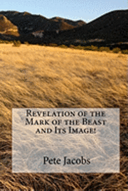 bokomslag Revelation Of The Mark Of The Beast And Its Image!