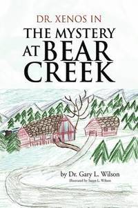 bokomslag Mystery at Bear Creek