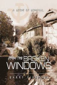 bokomslag From The Broken Windows
