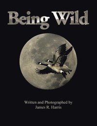 bokomslag Being Wild