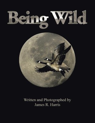 James R Harris - Being Wild, Häftad