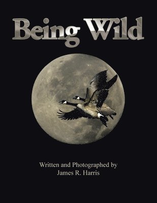 Being Wild 1