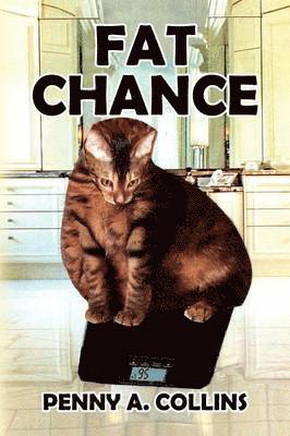 Fat Chance 1