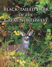 bokomslag Black-Tailed Deer of the Great Northwest