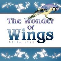 bokomslag The Wonder Of Wings