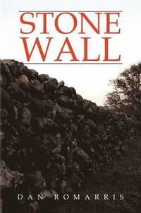 bokomslag Stone Wall