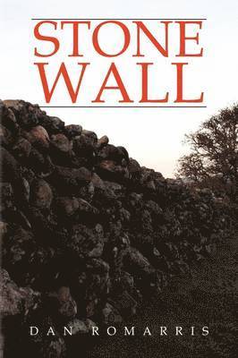 bokomslag Stone Wall