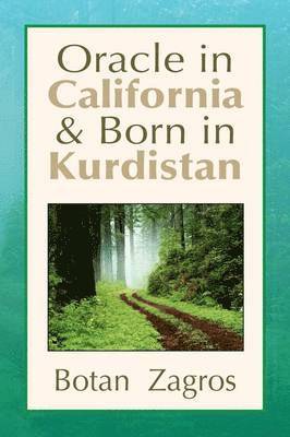 Oracle in California & Born in Kurdistan 1