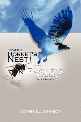 bokomslag From the Hornet's Nest