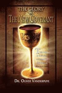 bokomslag The Glory of the New Covenant