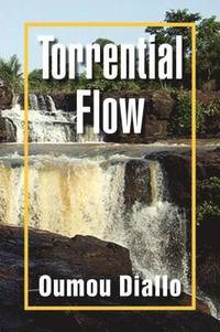 bokomslag Torrential Flow