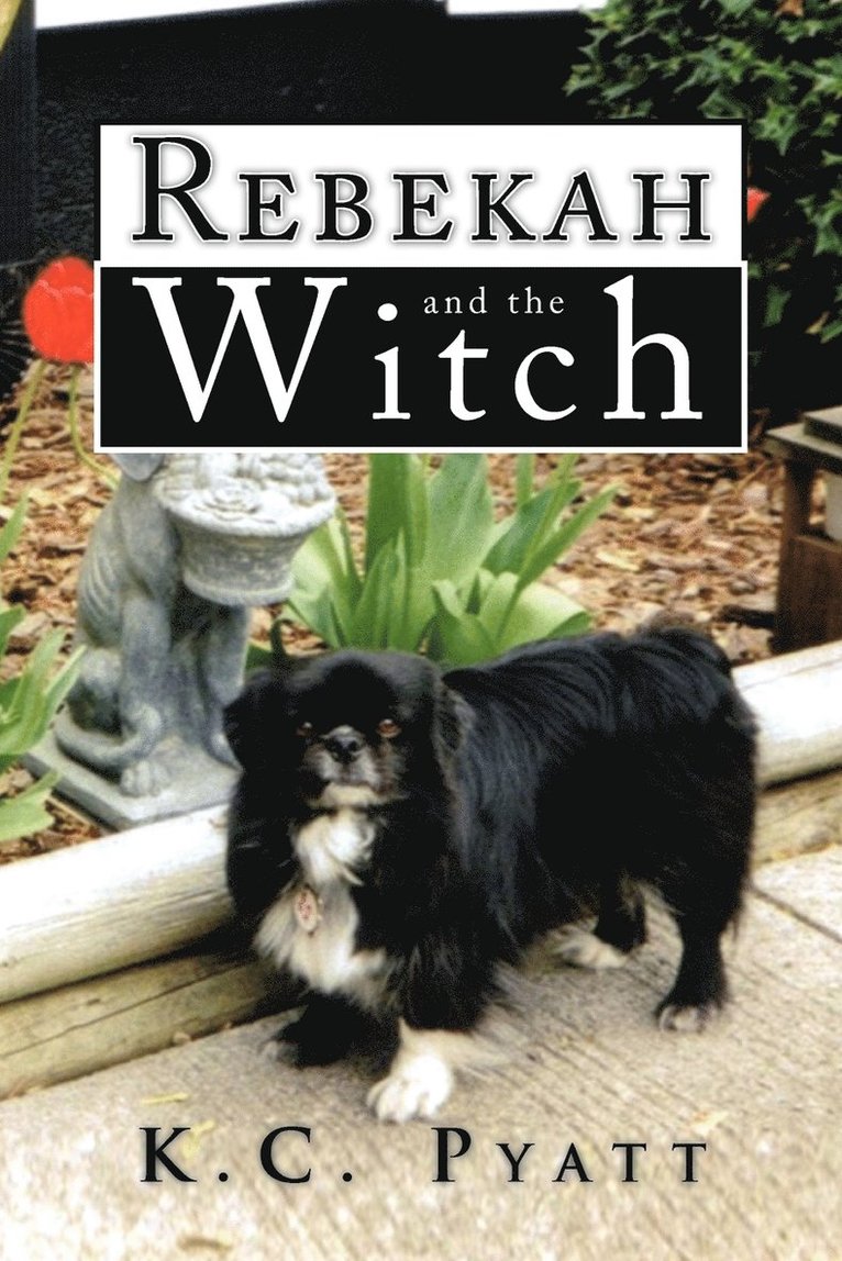 Rebekah and the Witch 1