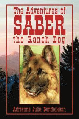 Adrienne Julia Bendickson - Adventures of Saber the Ranch Dog, Häftad