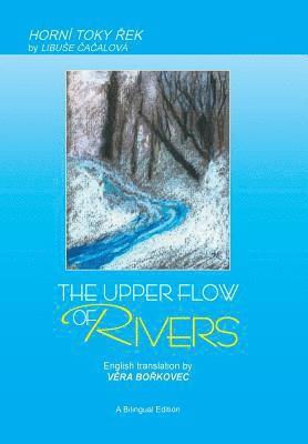 bokomslag Upper Flow of Rivers