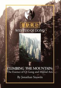 bokomslag Climbing The Mountain