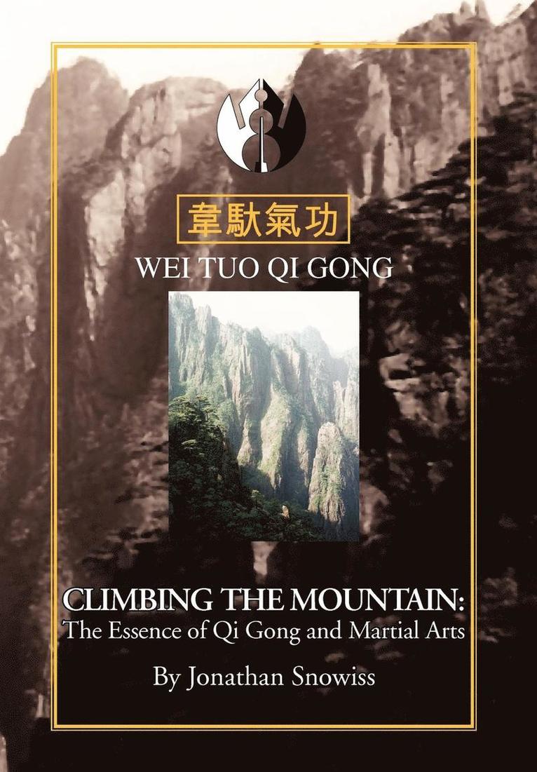 Climbing The Mountain 1
