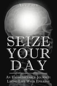 bokomslag Seize Your Day