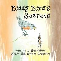 bokomslag Biddy Bird's Secrets