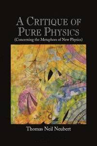 bokomslag Critique of Pure Physics