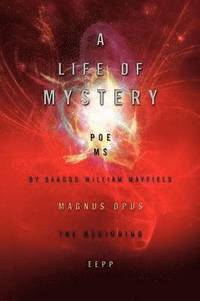 bokomslag Life of Mystery