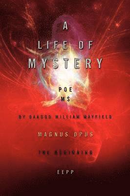 bokomslag Life of Mystery