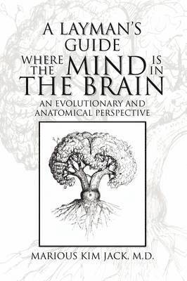 Layman's Guide Where the Mind Is in the Brain