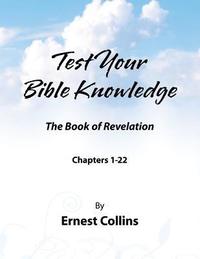 bokomslag Test Your Bible Knowledge