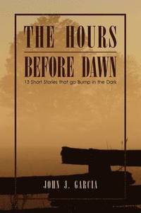 bokomslag Hours Before Dawn
