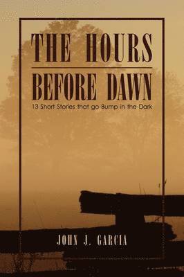 bokomslag Hours Before Dawn