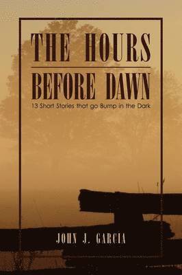 bokomslag The Hours Before Dawn