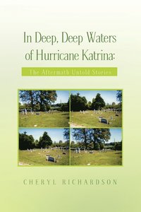 bokomslag In Deep, Deep Waters of Hurricane Katrina
