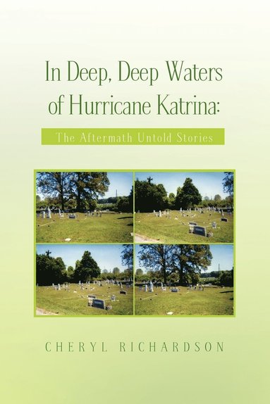 Cheryl Richardson - In Deep, Deep Waters of Hurricane Katrina, Häftad
