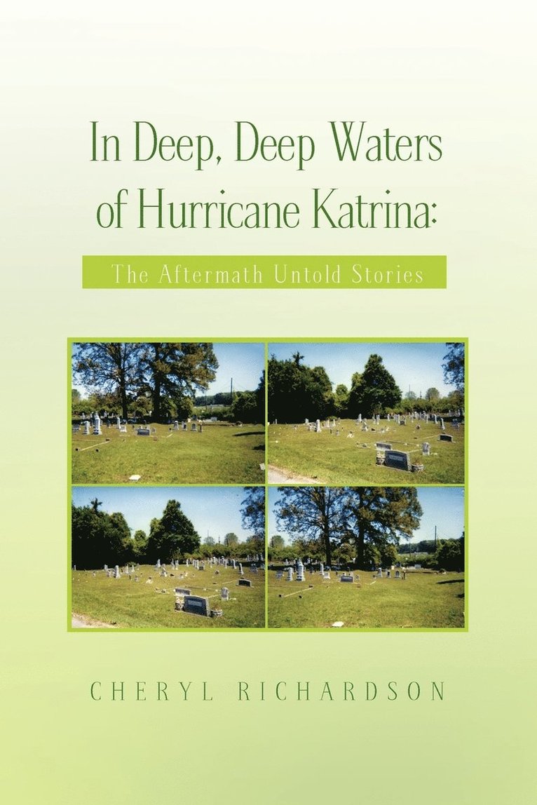 In Deep, Deep Waters of Hurricane Katrina 1