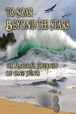 To Soar Beyond the Stars 1