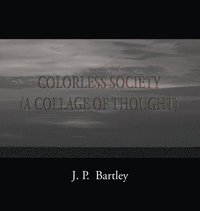 bokomslag Colorless Society