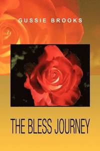 bokomslag The Bless Journey