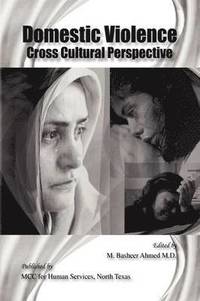 bokomslag Domestic Violence Cross Cultural Perspective