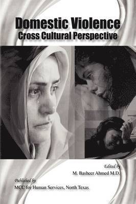 Domestic Violence Cross Cultural Perspective 1