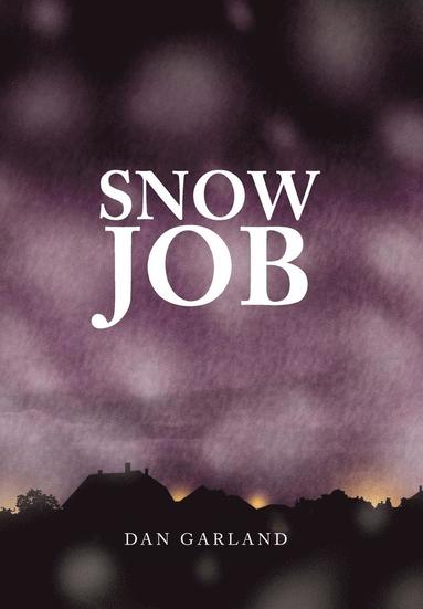 bokomslag Snow Job