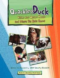 bokomslag Quackless Duck Visits the White House